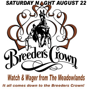 Wager on the full Breeders Crown card on Saturday at Derby Lane in St. Petersburg. 