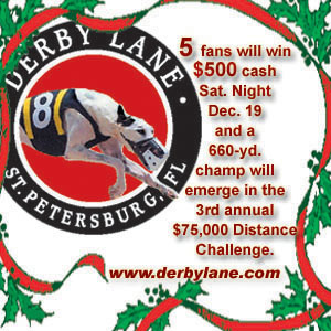Greyhound racing, poker, dining and every NFL game at Derby Lane in St. Petersburg.