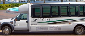 Pureminibus